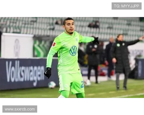 德甲冬季转会期各支球队主要变动情况盘点 德甲冬季转会期各支球队主要变动情况盘点