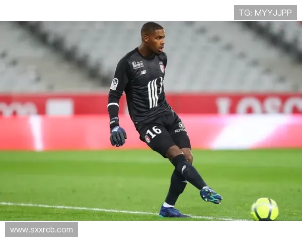 门神对决 法甲门将扑救排行榜