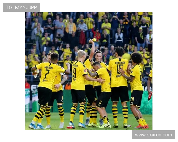 德甲联赛现有参赛球队情况及整体介绍