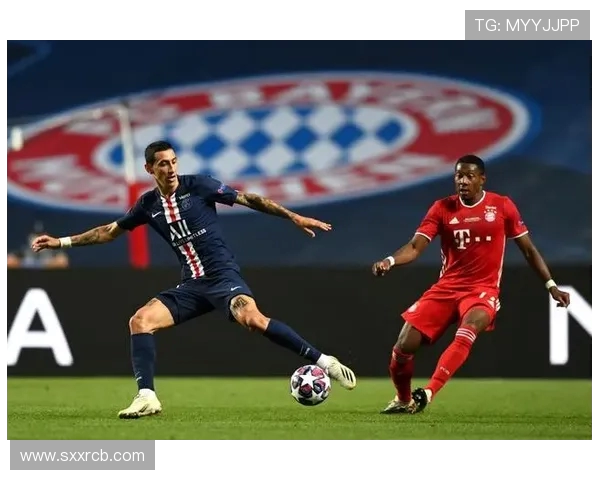 法甲球迷支持率调查及影响因素分析 法甲球迷支持率调查及影响因素分析